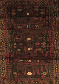 Persian Brown Traditional Rug, tr2397brn