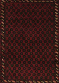 Southwestern Brown Country Rug, tr2398brn