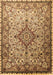 Machine Washable Medallion Brown Traditional Rug, wshtr239brn