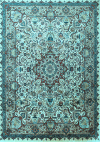 Medallion Light Blue Traditional Rug, tr239lblu