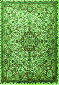 Medallion Green Traditional Rug, tr239grn