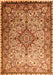 Medallion Orange Traditional Rug, tr239org