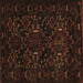 Square Persian Brown Traditional Rug, tr2402brn