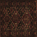 Square Machine Washable Persian Brown Traditional Rug, wshtr2402brn