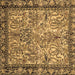 Square Machine Washable Persian Brown Traditional Rug, wshtr2404brn