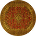 Round Machine Washable Persian Yellow Traditional Rug, wshtr2405yw