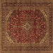 Square Machine Washable Persian Brown Traditional Rug, wshtr2405brn