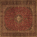 Square Machine Washable Persian Brown Traditional Rug, wshtr2406brn