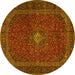 Round Machine Washable Persian Yellow Traditional Rug, wshtr2406yw