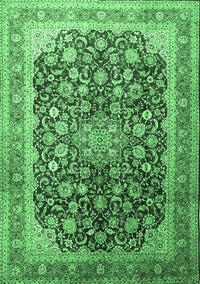 Medallion Emerald Green Traditional Rug, tr240emgrn