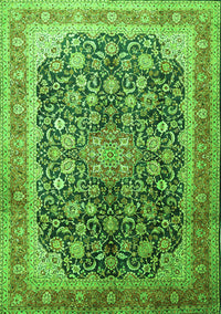 Medallion Green Traditional Rug, tr240grn