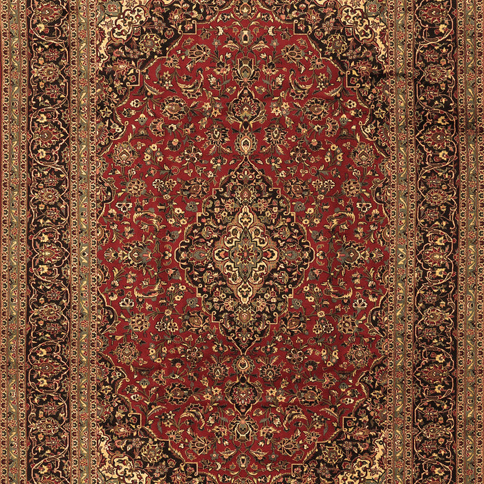 Medallion Brown Traditional Rug, tr2411brn