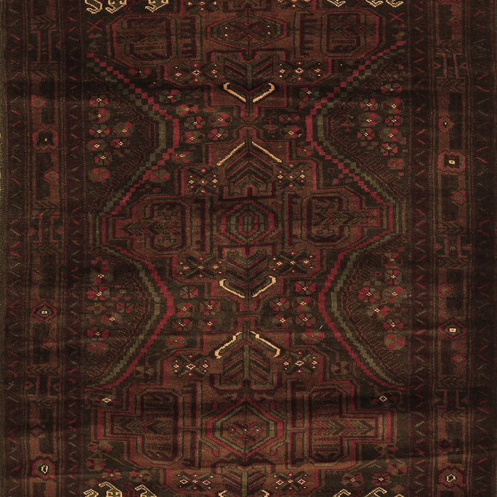 Persian Brown Traditional Rug, tr2415brn