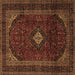 Square Machine Washable Persian Brown Traditional Rug, wshtr2417brn