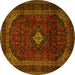 Round Machine Washable Persian Yellow Traditional Rug, wshtr2417yw