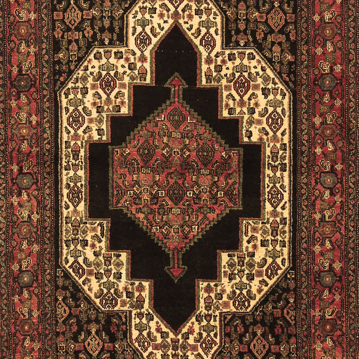 Persian Brown Traditional Rug, tr2419brn