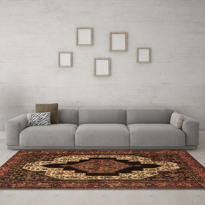 Machine Washable Persian Brown Traditional Rug in a Living Room,, wshtr2419brn
