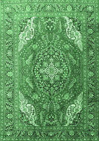 Persian Emerald Green Traditional Rug, tr241emgrn