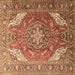 Square Persian Brown Traditional Rug, tr241brn