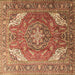 Square Machine Washable Persian Brown Traditional Rug, wshtr241brn