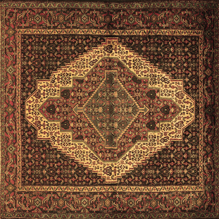Square Persian Brown Traditional Rug, tr2420brn