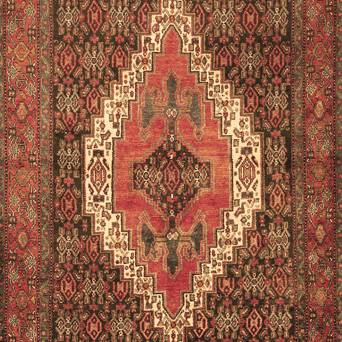 Machine Washable Medallion Brown Traditional Rug, wshtr2421brn