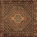 Square Persian Brown Traditional Rug, tr2422brn