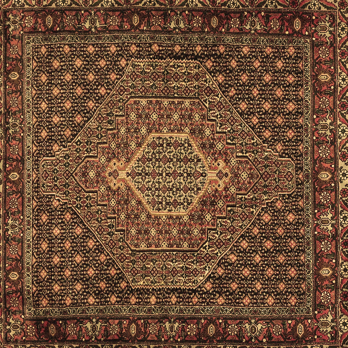 Square Machine Washable Persian Brown Traditional Rug, wshtr2422brn