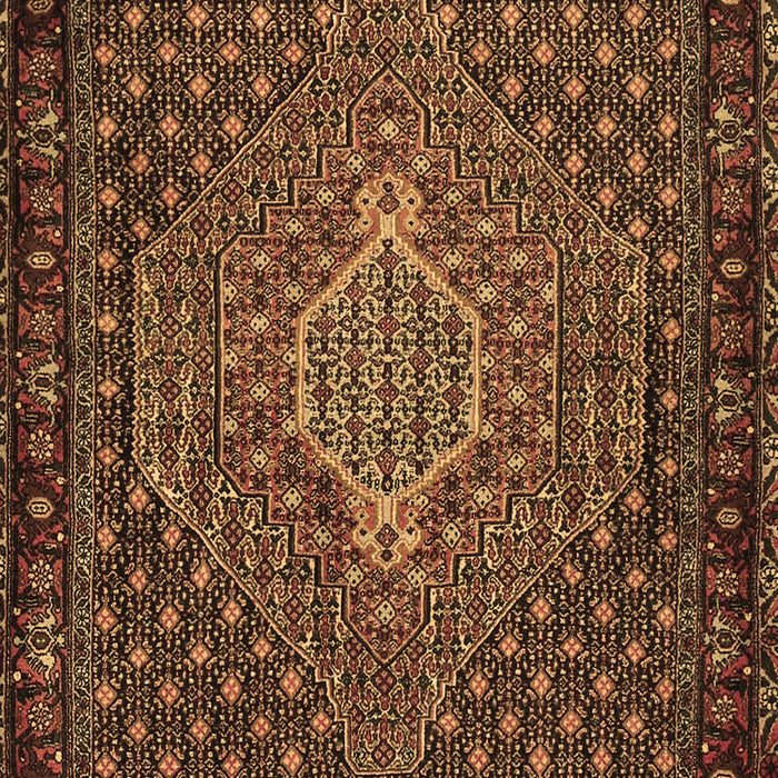 Machine Washable Persian Brown Traditional Rug, wshtr2422brn