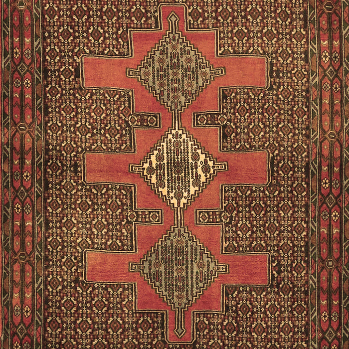 Machine Washable Persian Brown Traditional Rug, wshtr2423brn