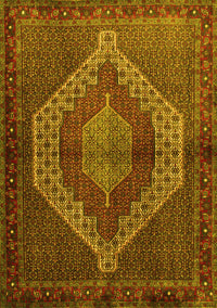 Persian Yellow Traditional Rug, tr2424yw