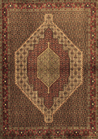 Persian Brown Traditional Rug, tr2424brn