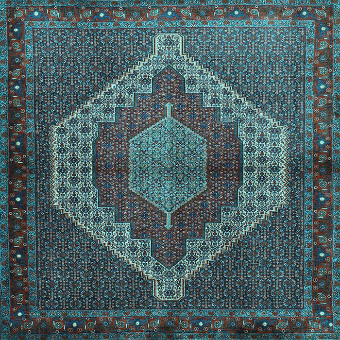 Square Persian Light Blue Traditional Rug, tr2424lblu