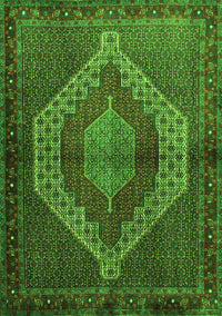Persian Green Traditional Rug, tr2424grn