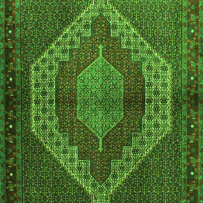 Persian Green Traditional Rug, tr2424grn