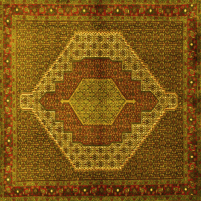 Square Persian Yellow Traditional Rug, tr2424yw