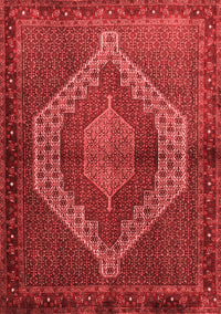 Persian Red Traditional Rug, tr2424red