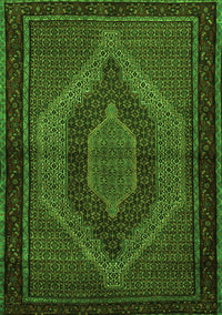 Persian Green Traditional Rug, tr2425grn