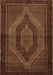 Machine Washable Persian Brown Traditional Rug, wshtr2425brn