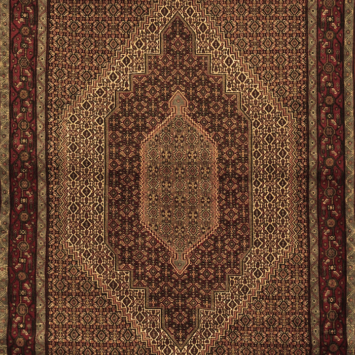 Machine Washable Persian Brown Traditional Rug, wshtr2425brn