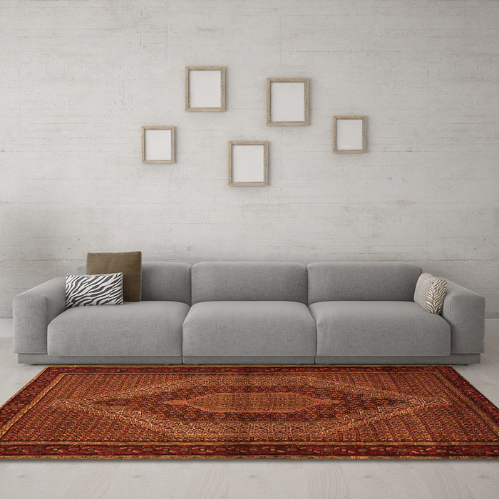 Machine Washable Persian Orange Traditional Area Rugs in a Living Room, wshtr2425org