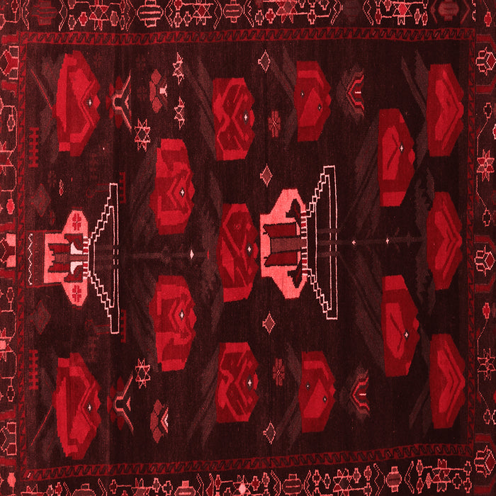 Machine Washable Animal Red Traditional Rug, wshtr2426red