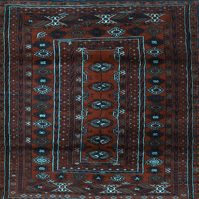 Square Persian Light Blue Traditional Rug, tr2427lblu