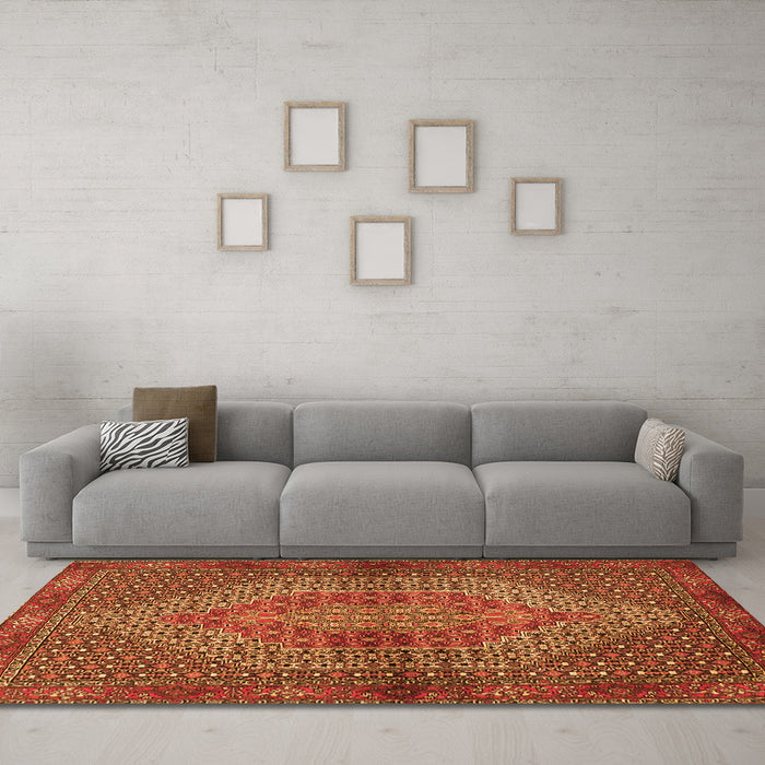 Machine Washable Persian Orange Traditional Area Rugs in a Living Room, wshtr2431org
