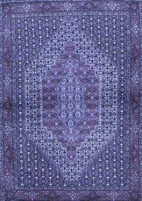 Persian Blue Traditional Rug, tr2431blu