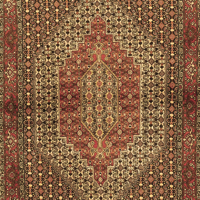 Machine Washable Persian Brown Traditional Rug, wshtr2431brn