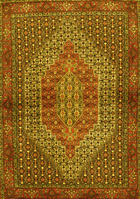 Persian Yellow Traditional Rug, tr2431yw