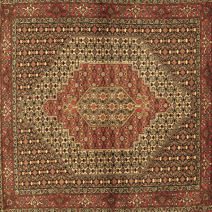 Square Persian Brown Traditional Rug, tr2431brn