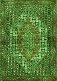 Persian Green Traditional Rug, tr2431grn