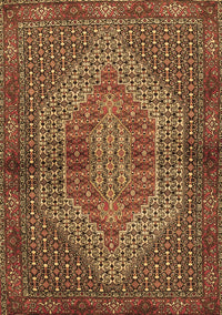 Persian Brown Traditional Rug, tr2431brn